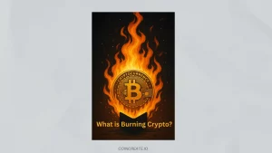 Crypto Burning