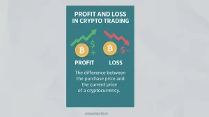 What Is PnL